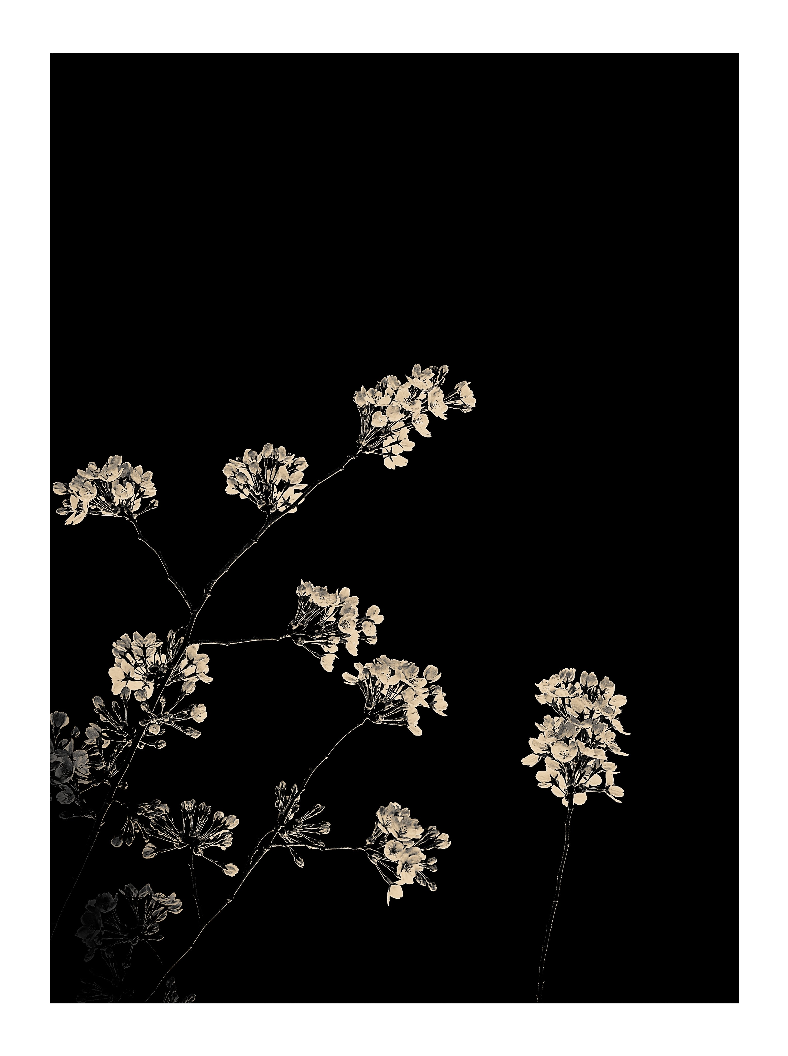Decorative floral element